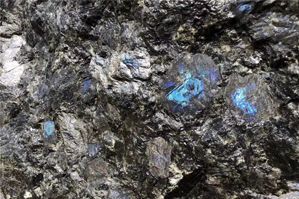 20210316145533_63046